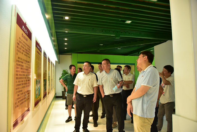 市政分公司黨總支、合肥市重點(diǎn)局直屬黨委第二黨支部聯(lián)合開(kāi)展主題黨日活動(dòng)3