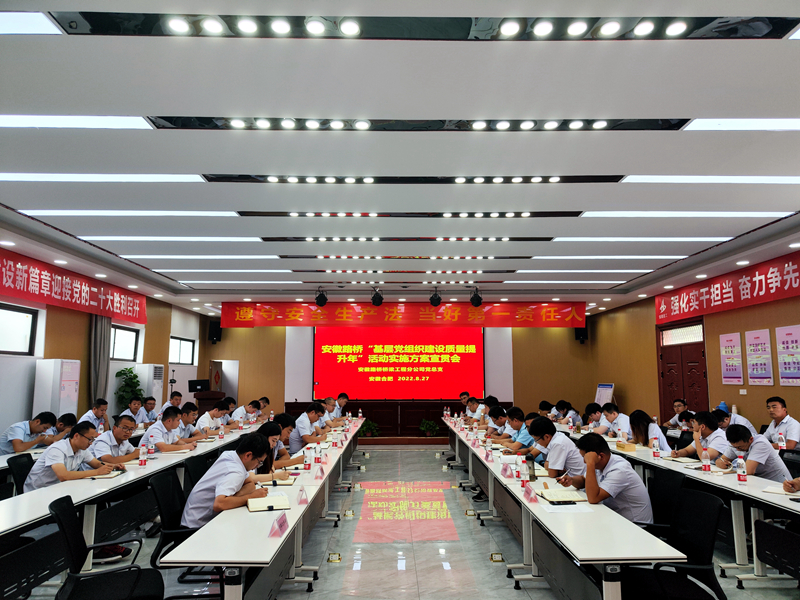 橋梁分公司黨總支召開“基層黨組織建設(shè)質(zhì)量提升年”動(dòng)員部署會