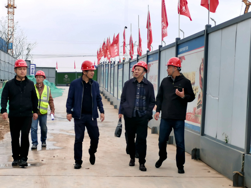 建工控股黨委委員、紀委書記、監(jiān)察專員王汪苗到桃花科創(chuàng)產(chǎn)業(yè)園項目調(diào)研督導(dǎo)工作3