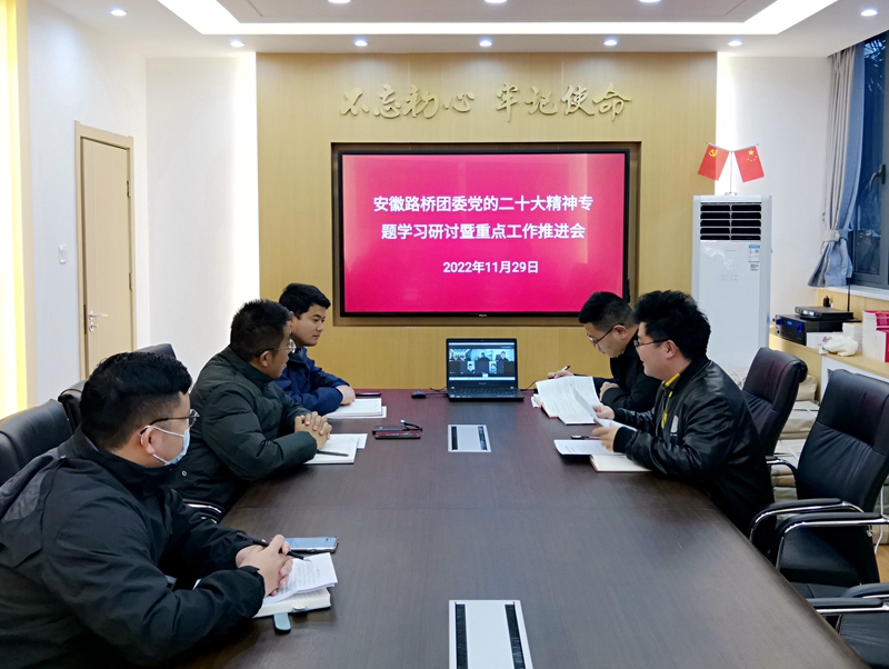 公司團委召開黨的二十大精神學(xué)習(xí)研討暨重點工作推進(jìn)會