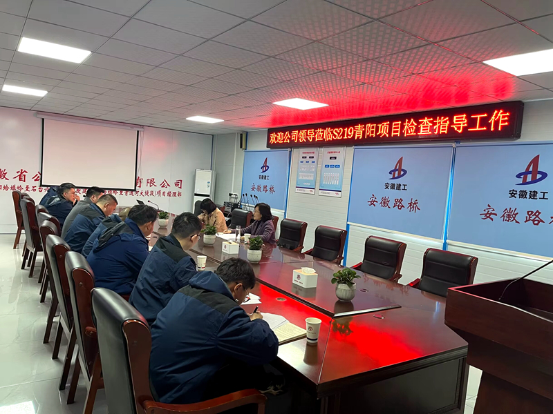 公司黨委委員、紀(jì)委書記王鵬到S219青陽(yáng)改建項(xiàng)目調(diào)研指導(dǎo)工作